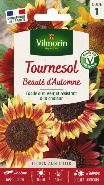 Fleurs - Tournesol Beauté d'Automne - PACKAGING_RECTO